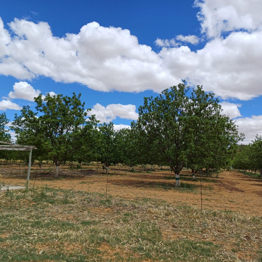 0 Bedroom Property for Sale in Bothaville Rural Free State